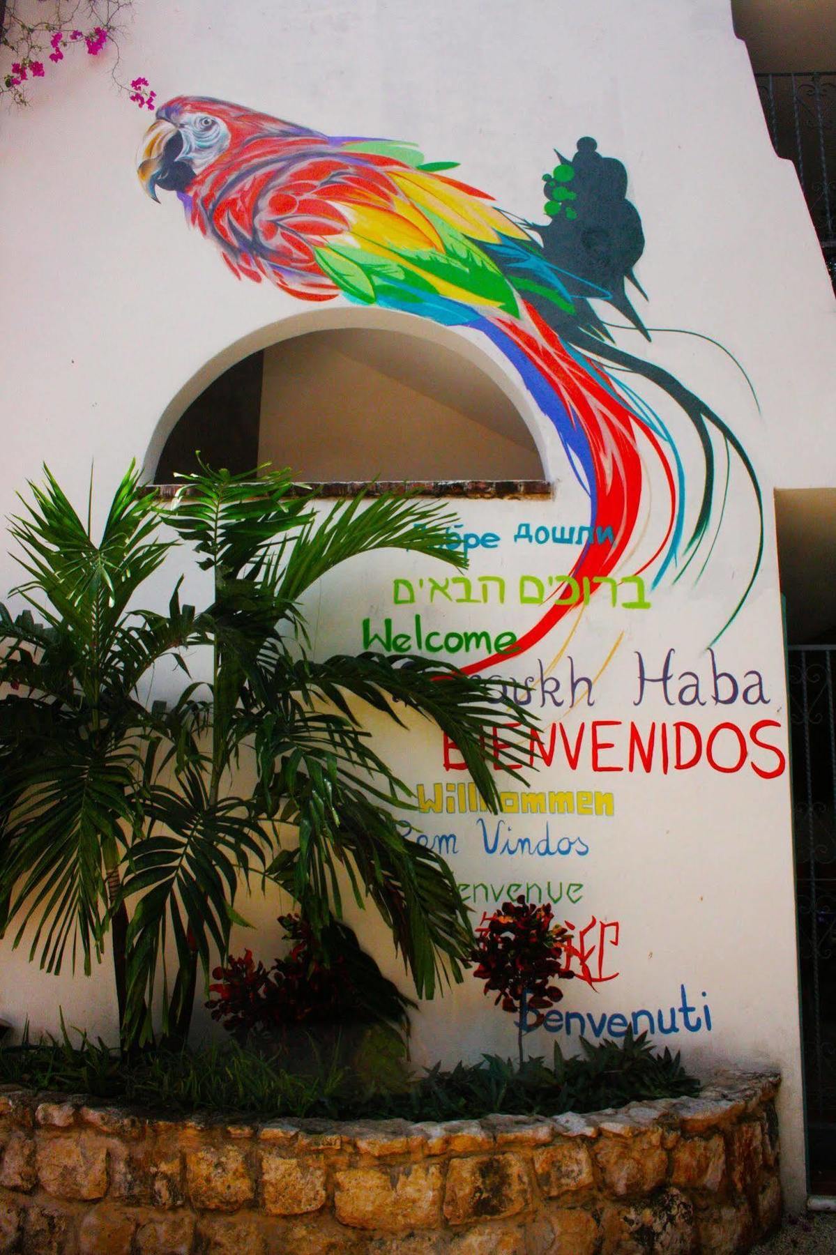 The Yak Hostel Playa del Carmen Buitenkant foto